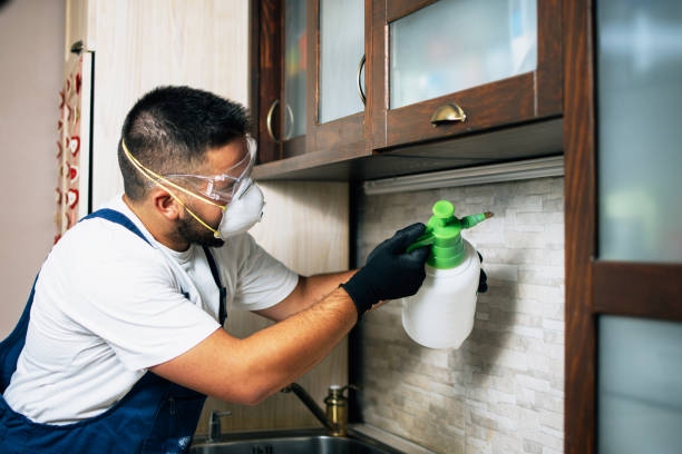 Best Affordable Pest Control Services  in Glenshaw, PA