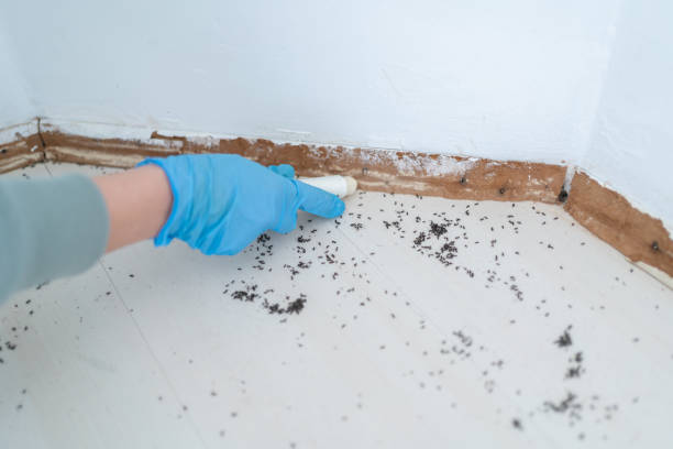Best Affordable Pest Control Services  in Glenshaw, PA