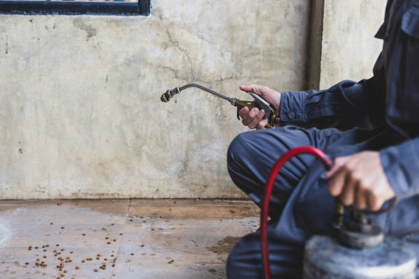 Best Termite Control Services  in Glenshaw, PA